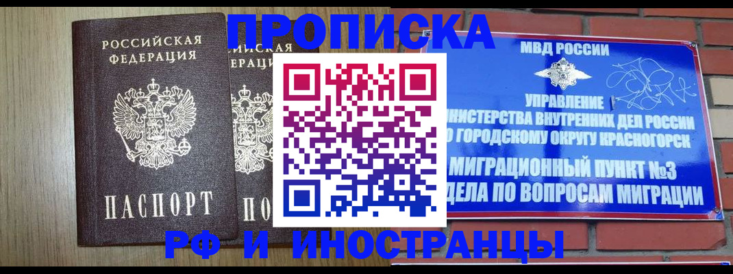 прописка в квартире в Эртили